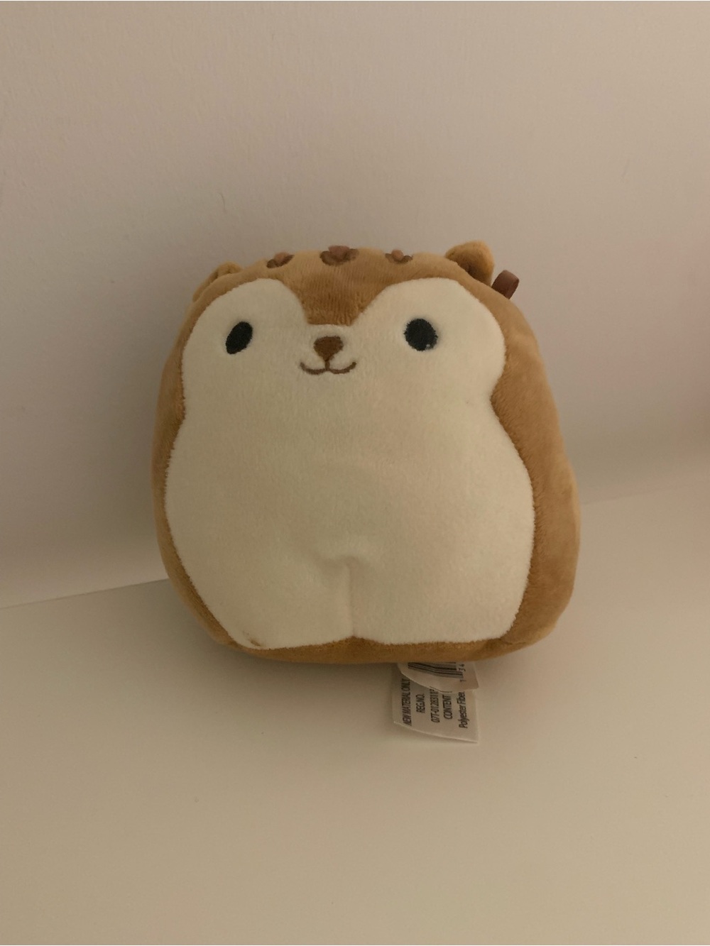 Squirrel Squishmallow